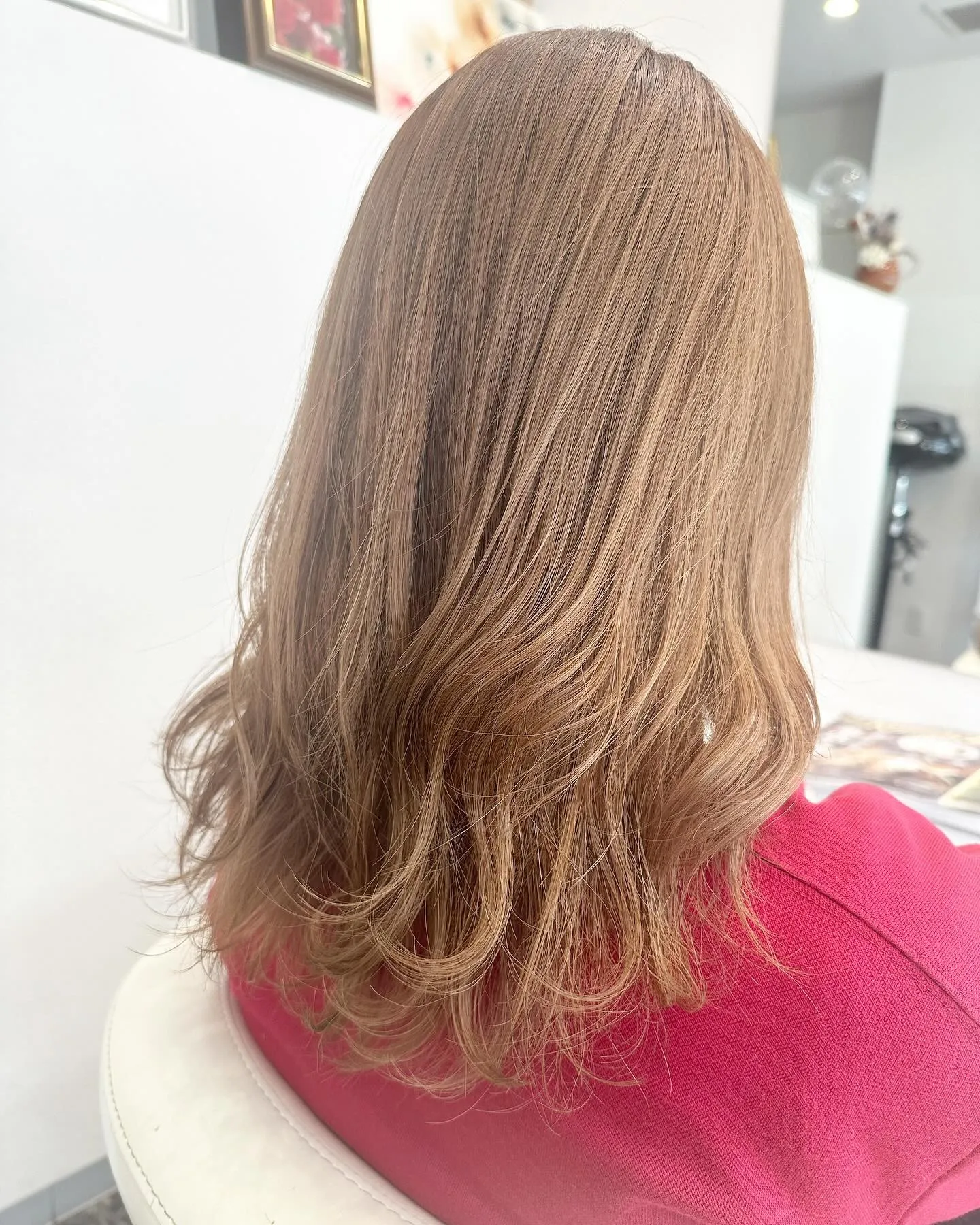 【愛媛県松山市】