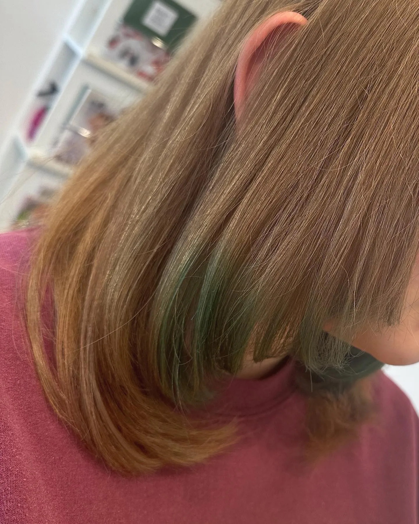 【松山市美容室】